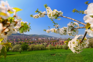 der Aussichtsplatz Burešov